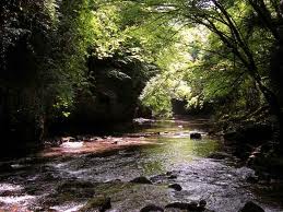 la-belle-albarine.jpg