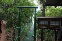 Un pont suspendu